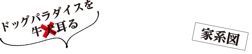 ドッグパラダイスを牛耳る